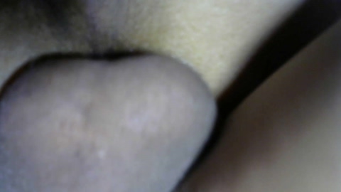 sadasadao2  11-02-2023